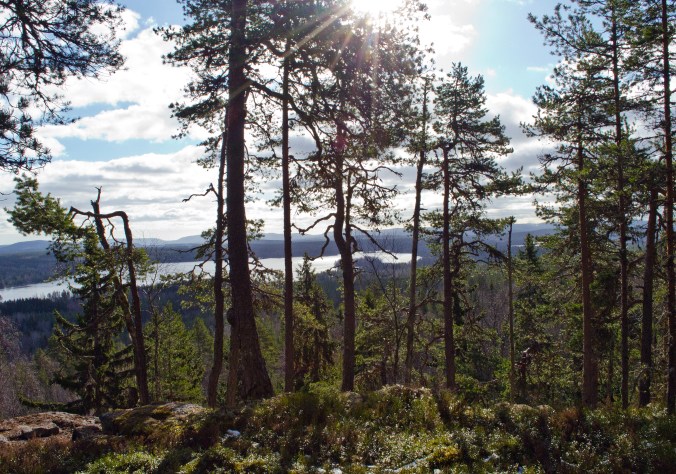 DSC_0591_redigerad-1