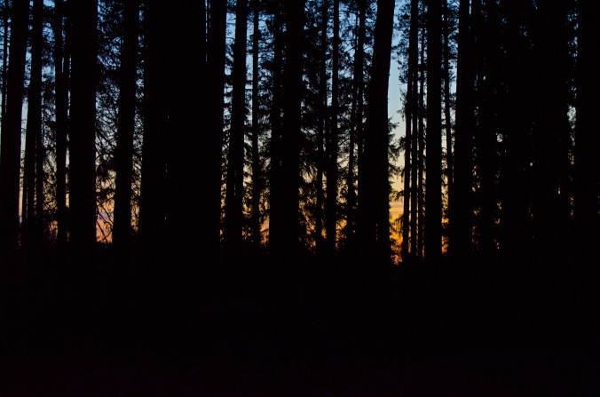 tjäderspelsmorgon 1_redigerad-1