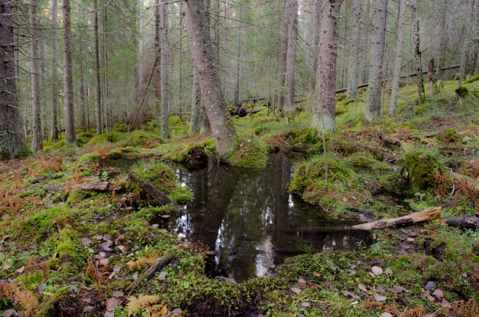 Blyberget25_redigerad-1