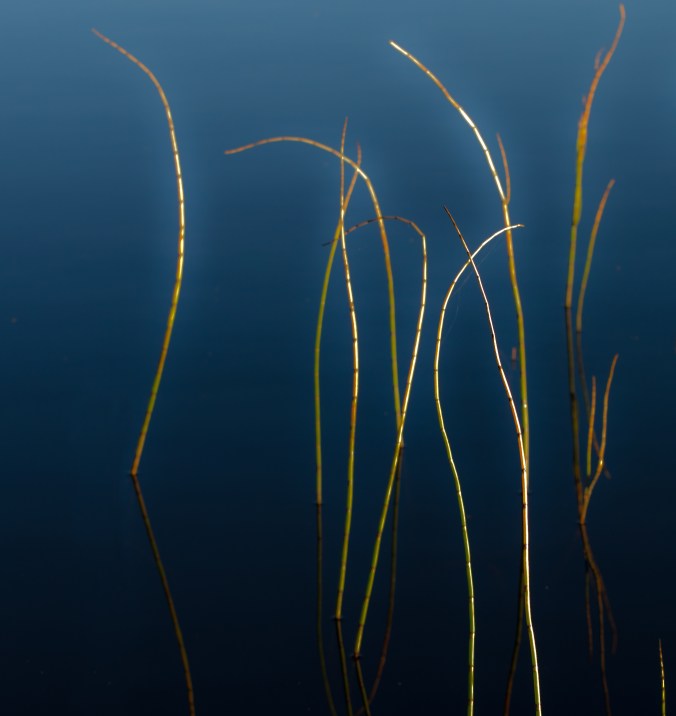 DSC_0069_redigerad-3