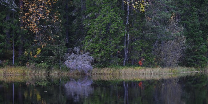 DSC_0376_redigerad-1