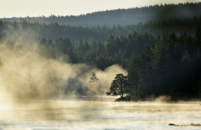 dimma finnskogssjö-1