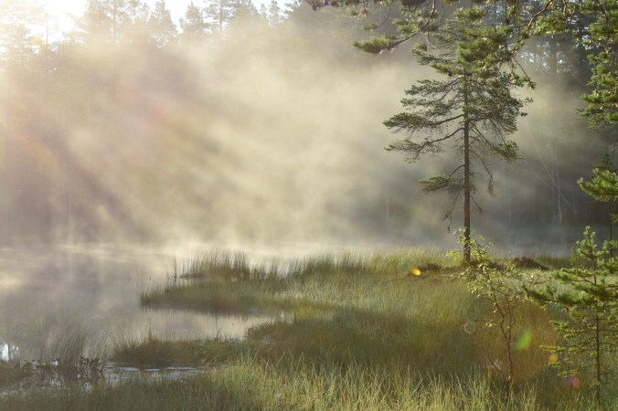 Dimmig morgon vid tjärnen